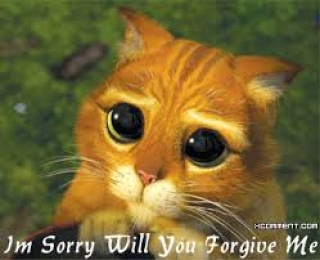 I am Sorry - Will You Forgive Me - Puss In Boots Kitty