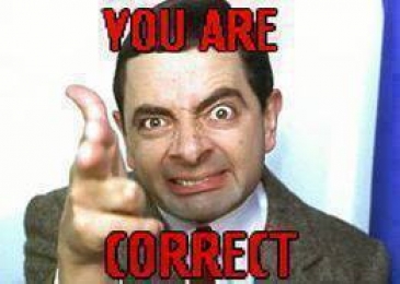 You Are Correct - Mr Bean
