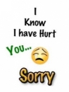 I Know I Have Hurt You - Sorry