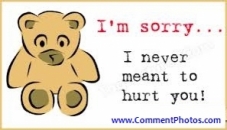 I am Sorry - I never meant to hurt you