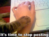Its Time To Stop Posting - Cat Telling