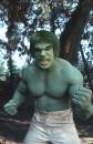 Very Old Hulk in TV Show
