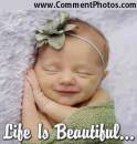 Life Is Beautiful - Cute NewBorn Baby Sleeping