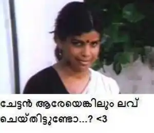 Chettan Aareyenkilum Love Cheythittundo - Servant in Pattanapravesham