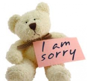 I am Sorry - Teddy Beer