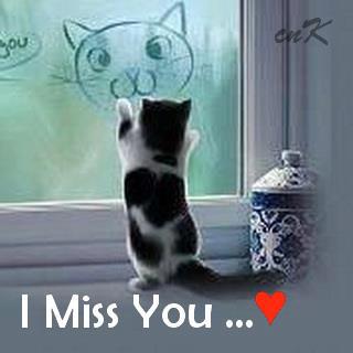 I Miss You - Cute Kitty Cat