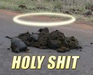 Holy Shit - Circle above shit