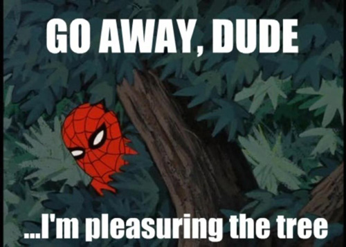Go Away Dude Im Pleasuring The Tree - Spiderman hiding in tree branches