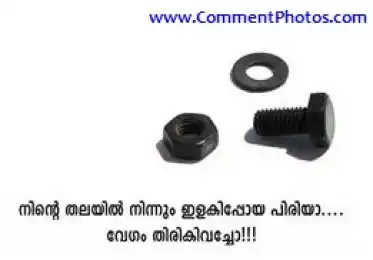നിന്റെ തലയില്‍ നിന്നും ഇളകിപ്പോയ പിരിയാ - വേഗം തിരികെ വച്ചോ. - Ninte thalayil ninnum ilakippoya piriyaa - Vegam Thirike Vacho