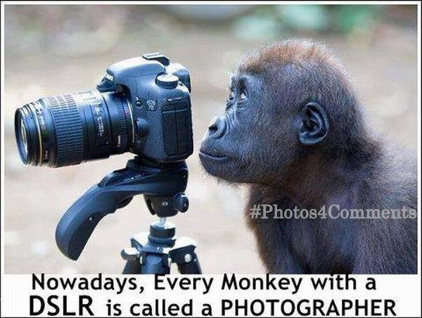 Nowadays Every Monkey with a DSLR is called a PHOTOGRAPHER