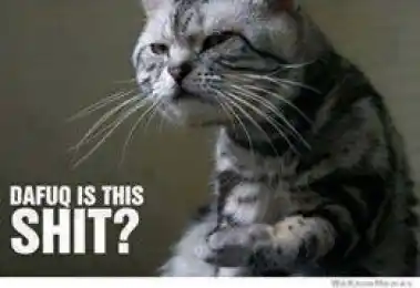 Dafuq Is This Shit - Angry Cat