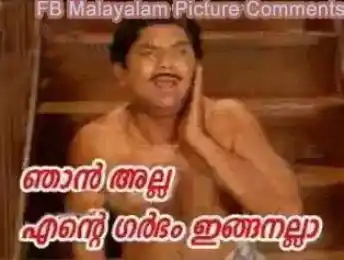 ഞാന്‍ അല്ല. എന്റെ ഗര്‍ഭം ഇങ്ങനല്ല - ജഗതി ശ്രീകുമാര്‍ - Njaan Alla. Ente Garbham Inganalla - Jagathy Sreekumar - Meleparambil Aanveedu