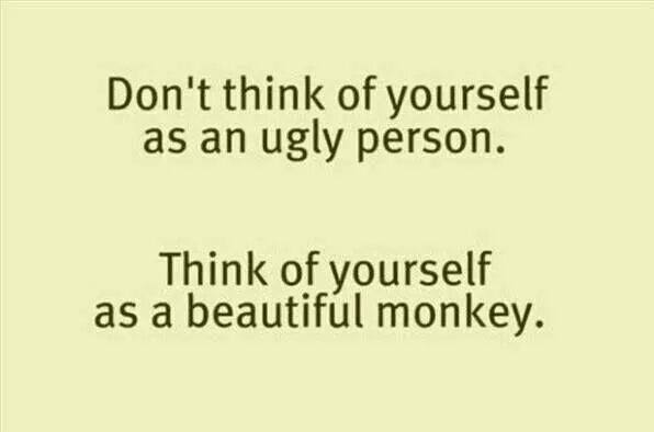 Dont Think Of Yourself as an Ugly Person. Think Yourself as a Beautiful Monkey