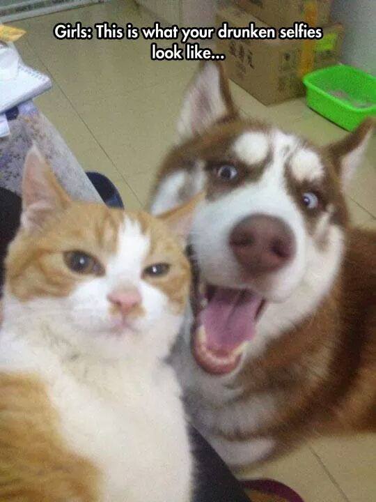 Girls.. This Is What Your Drunken Selfies Look Like - Dog and Cat