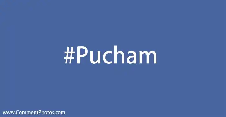 #Pucham - Hashtag - പുച്ഛം ഹാഷ് ടാഗ്