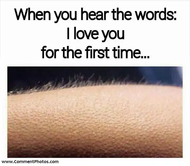 When You Hear The Words - I Love You For The First Time - Goose bumps in Hand