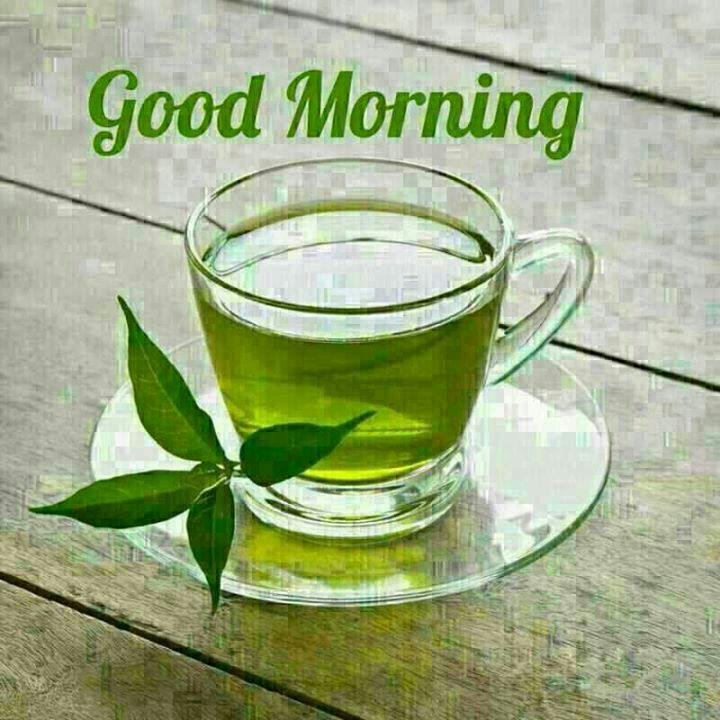 Good Morning - Green Tea Fresh Cup Of Green Tea