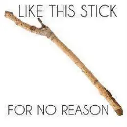 Like this Stick for No Reason