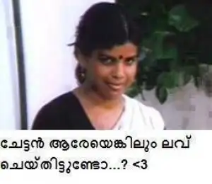 Chettan Aareyenkilum Love Cheythittundo - Servant in Pattanapravesham