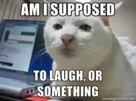 Am I Supposed to Laugh Or Something - Cat Wondering