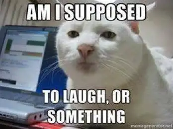 Am I Supposed to Laugh Or Something - Cat Wondering