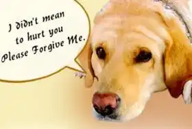 I Didnt mean to hurt you. Please forgive me