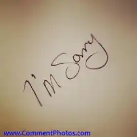 Im Sorry