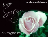 I am Sorry - Please forgive me
