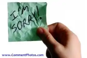 I am Sorry - Crushed Paper