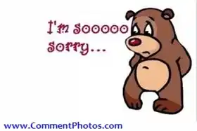I am Sorry - Teddy Beer