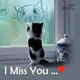 I Miss You - Cute Kitty Cat