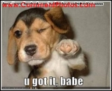 U Got It Babe - Puppy