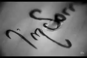 I am Sorry in note book