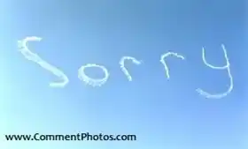 Sorry Written on Sky