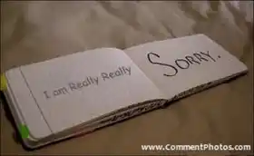I am Really Really Sorry