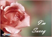 I am Sorry - Rose