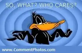 So What Who Cares - Black Duck