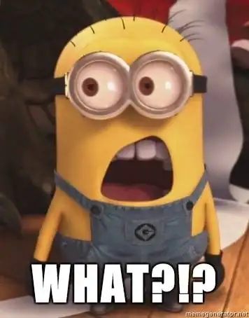What - Minion