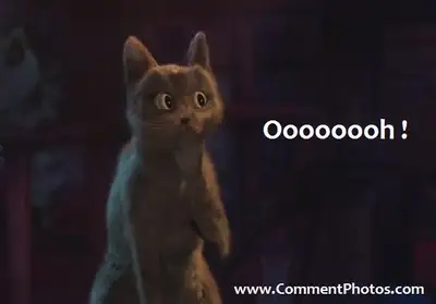 Ooooooh - Cat in Puss In Boots