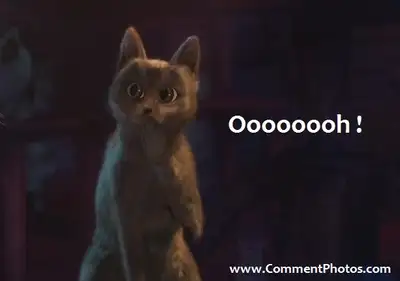 Ooooooh - Puss In Boots Cat
