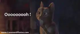 Oooooh - Cat From Puss In Boots
