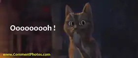 Oooooh - Cat From Puss In Boots