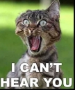 I Cant Hear You - Cat