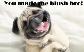 You Made Me Blush Bro
