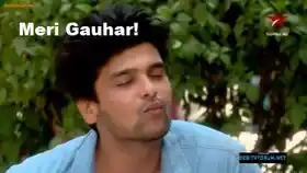 Meri Gauhar
