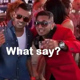 What Say - Yo Yo Honey Singh