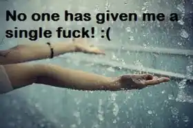 No One Has Given Me A Single Fuck