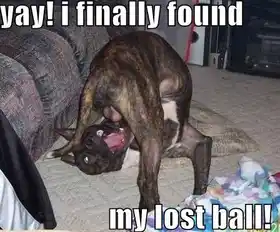 Yay I Finally Found My Lost Ball