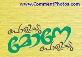 പൊളിച്ചു മോനേ പൊളിച്ചു - Polichu Mone Polichu