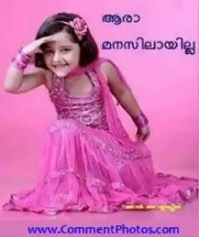 ആരാ മനസിലായില്ല - Aara Manasilayilla